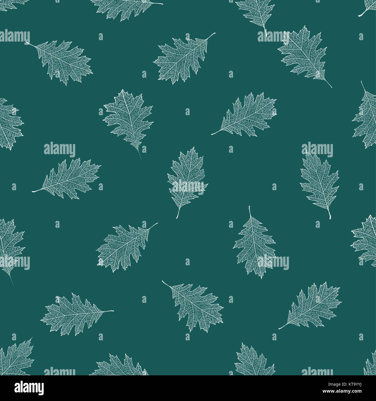 Seamless pattern of white autumn leaves of northern red oak on a ...