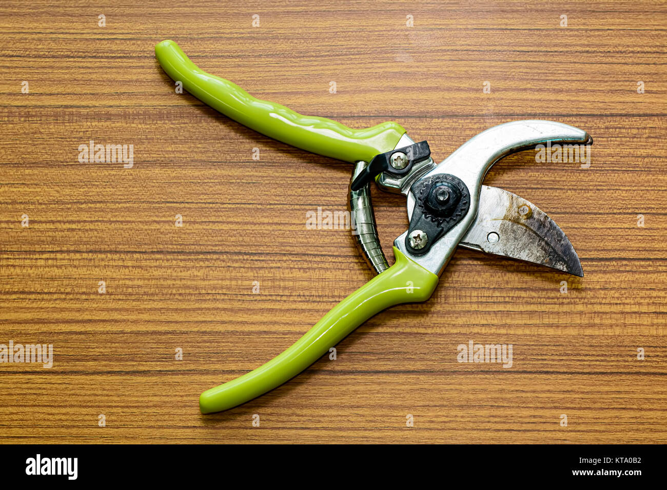Old pliers gardening tool Stock Photo Alamy