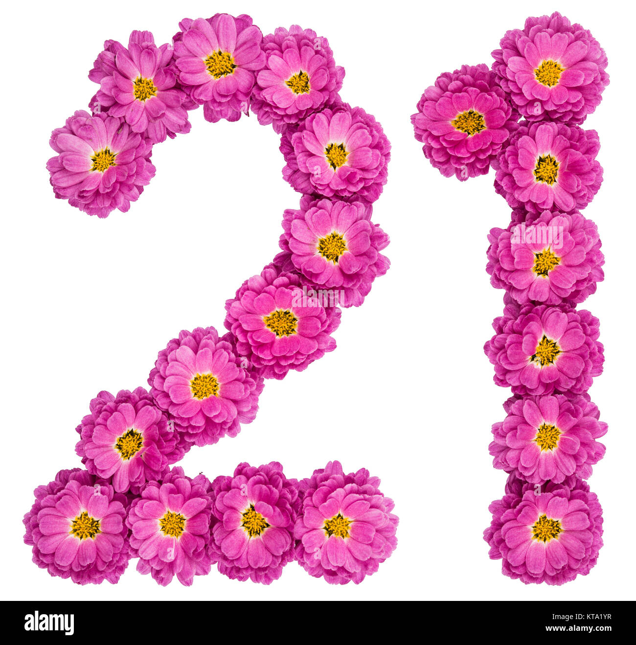 Arabic numeral 21, twenty one, from flowers of chrysanthemum, isolated