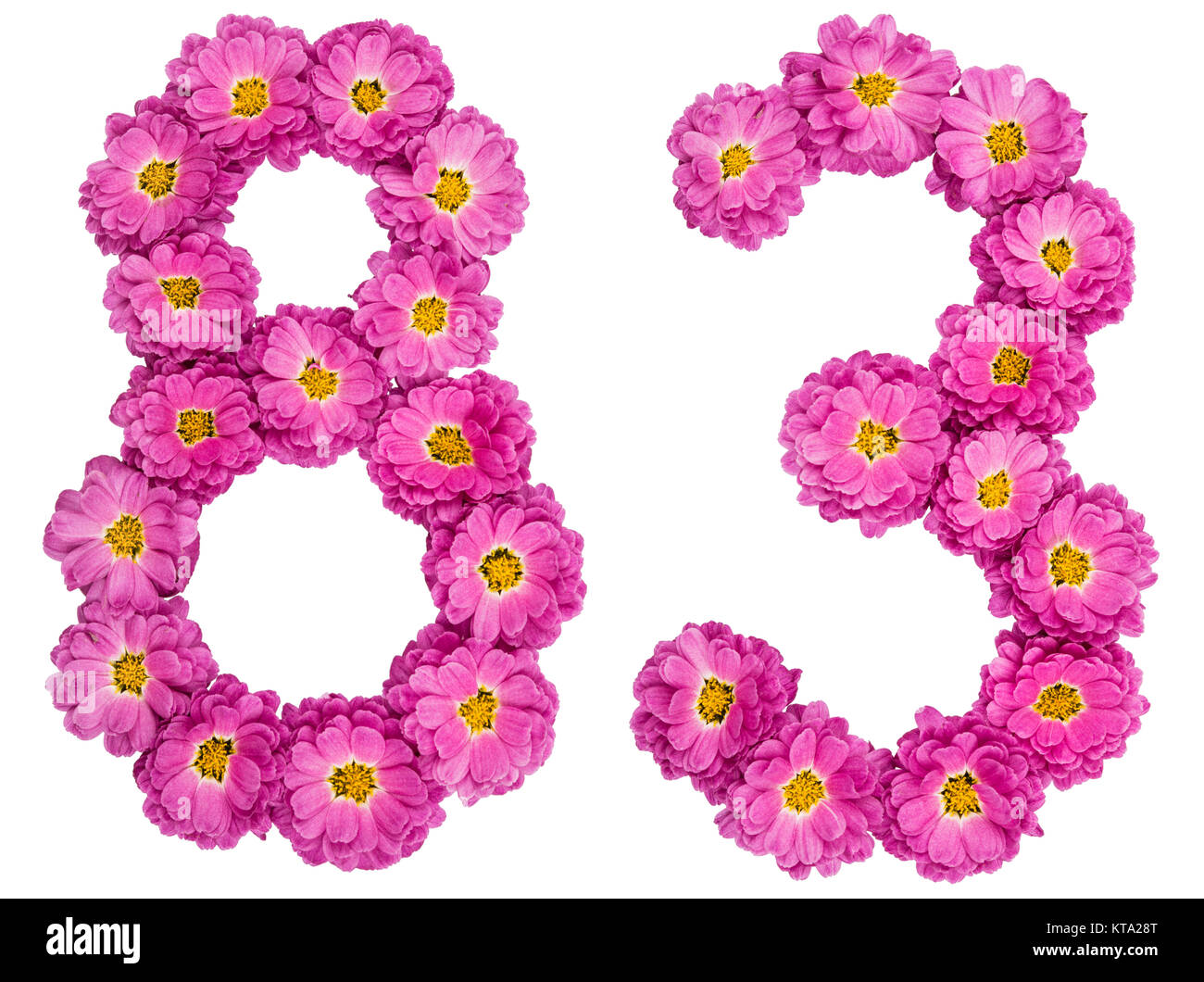 Arabic numeral 83, eighty three, from flowers of chrysanthemum, isolated on white background Stock Photo