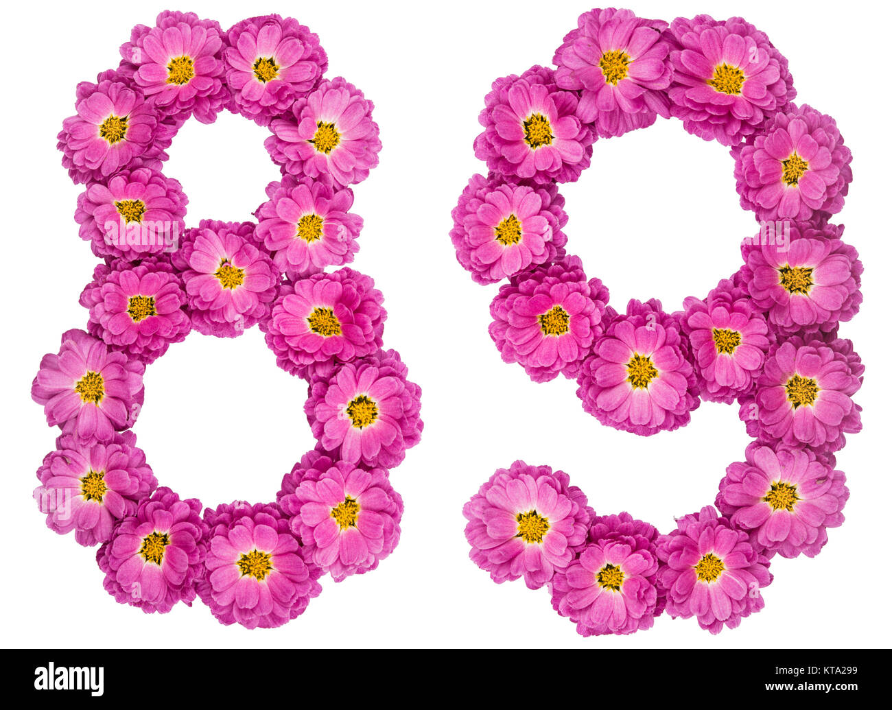 Arabic numeral 89, eighty nine, from flowers of chrysanthemum, isolated on white background Stock Photo