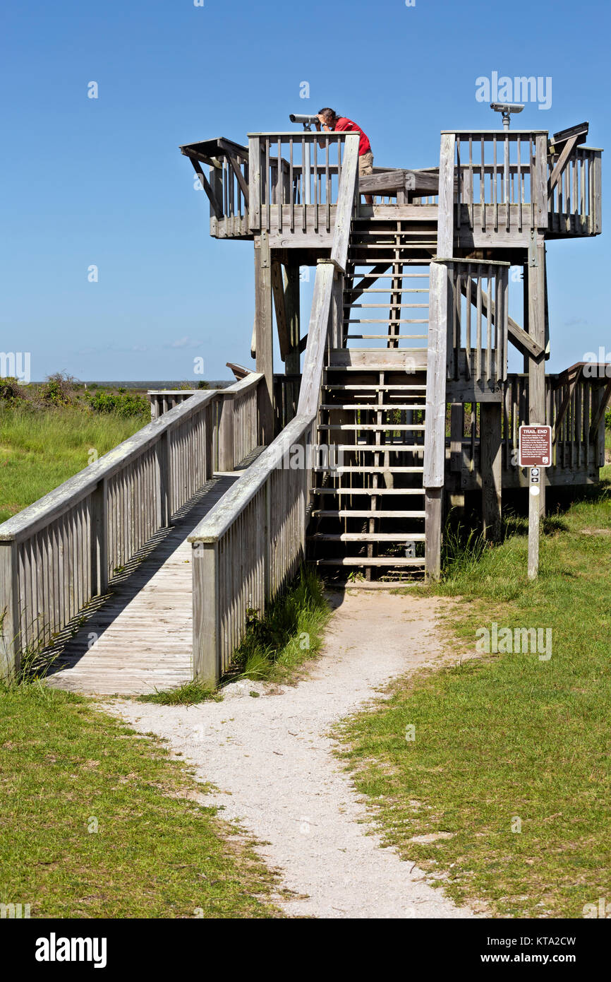 NC01157-00...NORTH CAROLINA - Trail at the Pea Island National Wildlife Refuge leads to tall viewing platform overlooking the salt marsh, located on t Stock Photo