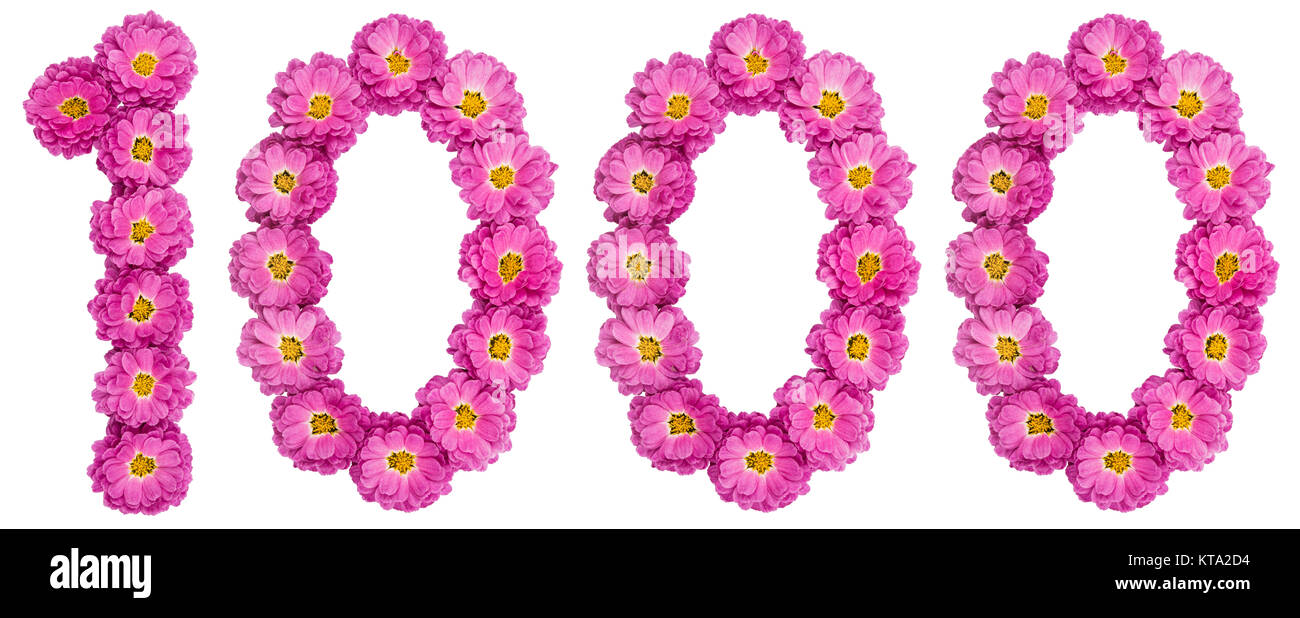 Arabic numeral 1000, one thousand, from flowers of chrysanthemum, isolated on white background Stock Photo