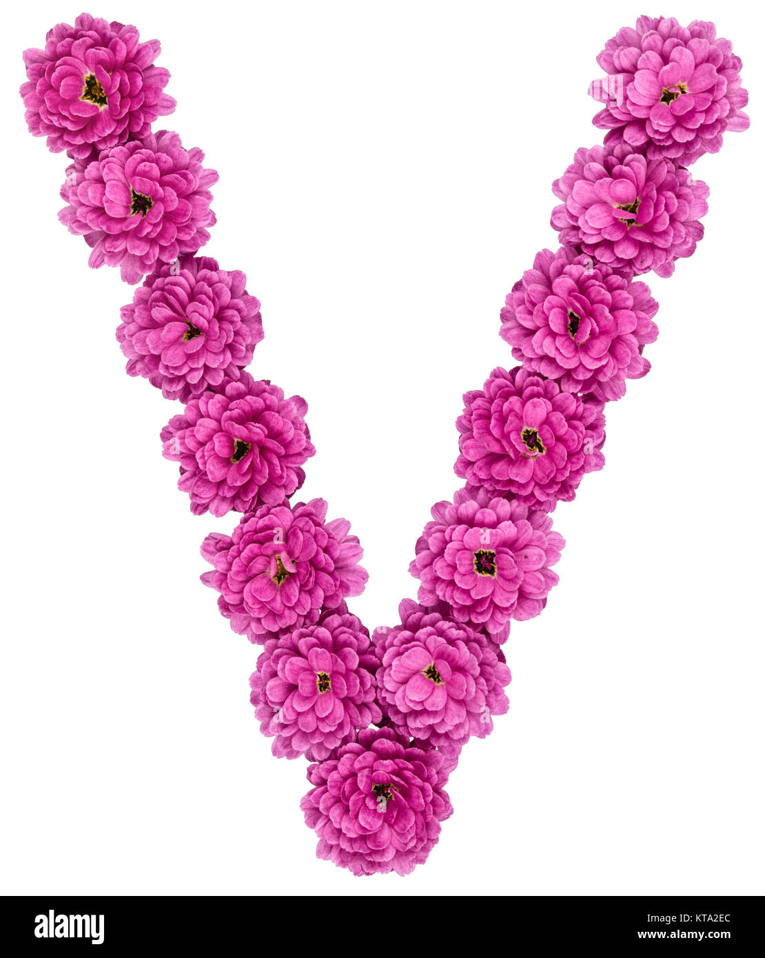 Floral font letter v hires stock photography and images Alamy