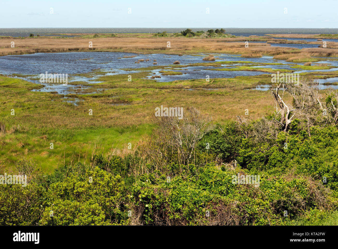 Salt water marsh hires stock photography and images Alamy