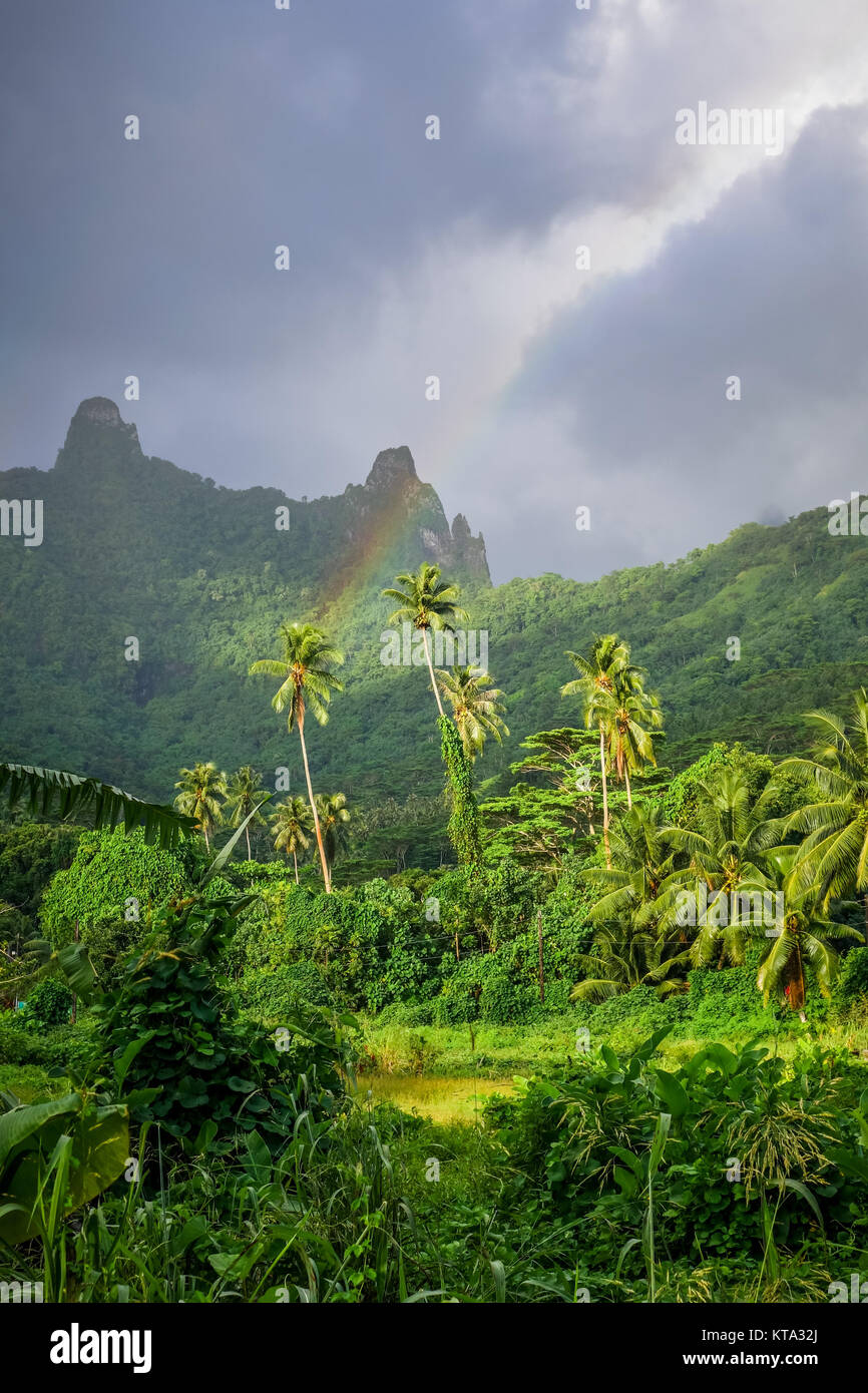 Rainbow on Moorea island jungle and mountains landscape Stock Photo