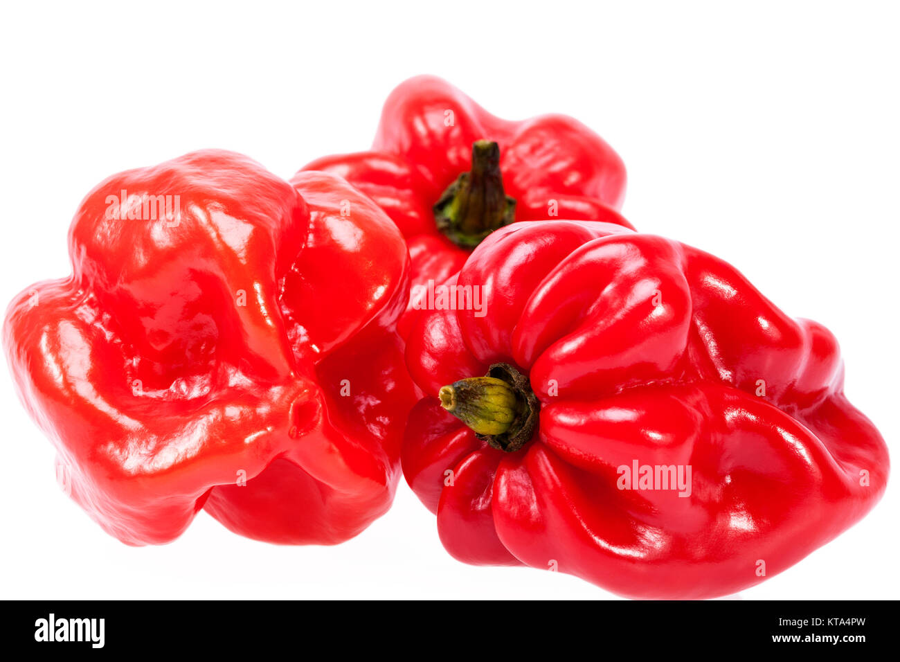 Vegetables of red chili pepper habanero on white background Stock Photo