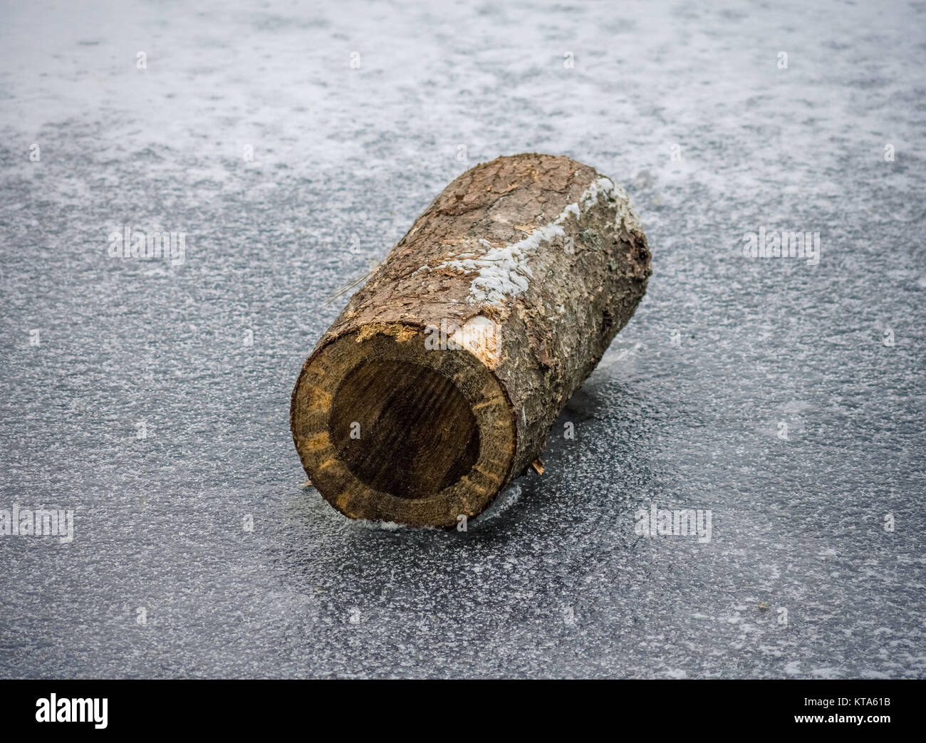 Tree Log On Ice Stock Photo