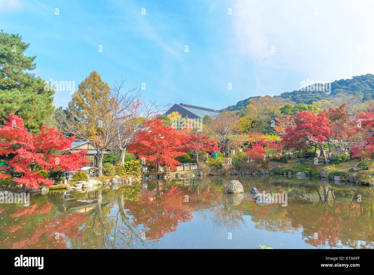 colourful trees with lake in Autumn in Japan Stock Photo