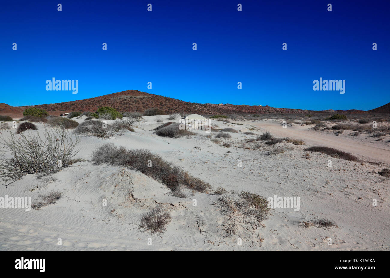 desert near tecolote beach Stock Photo