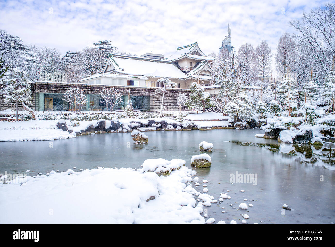 landscape-of-toyama-castle-in-the-winter-stock-photo-alamy