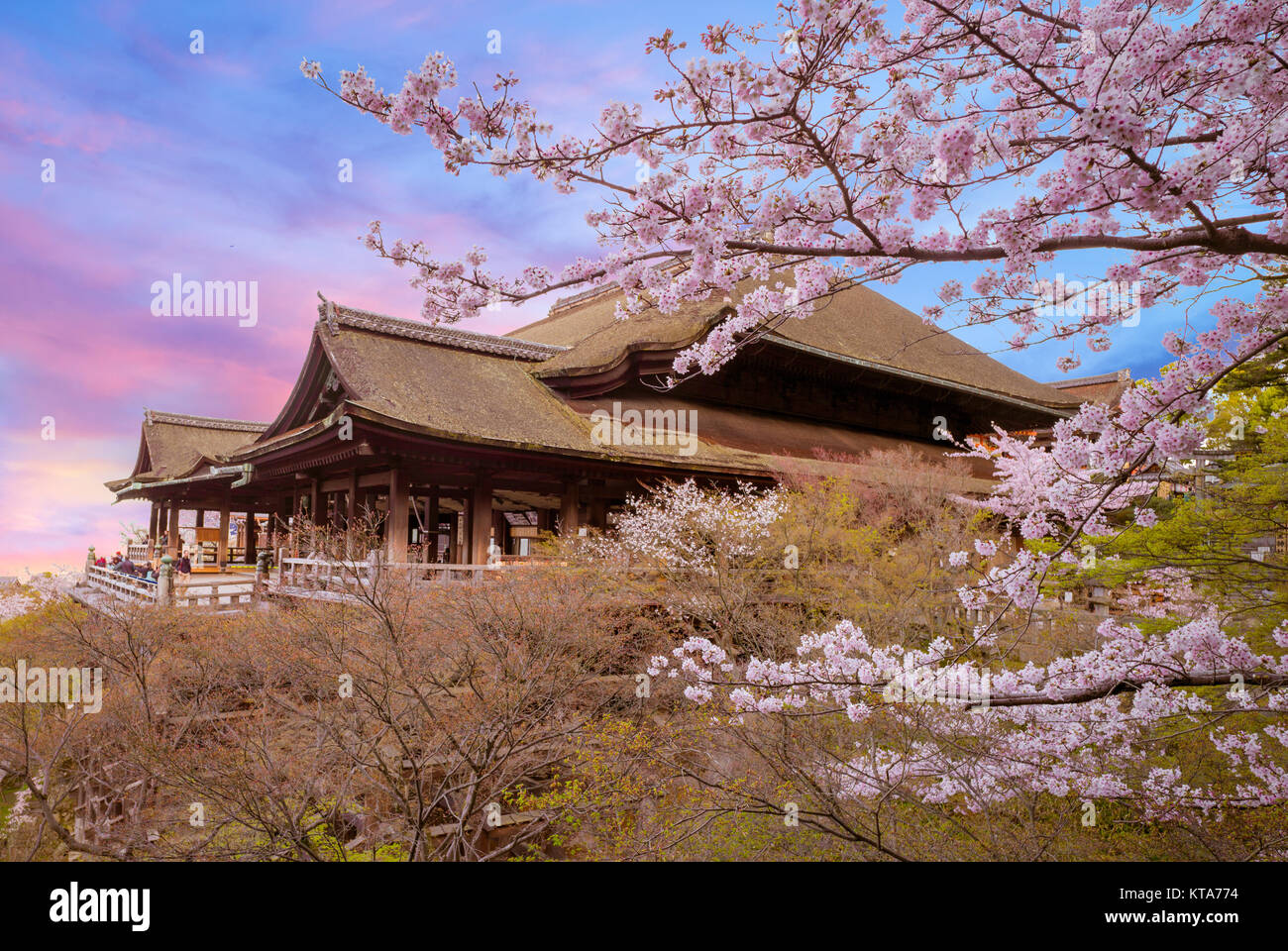 Kiyomizu-dera stage with cherry blossom in Kyoto Stock Photo