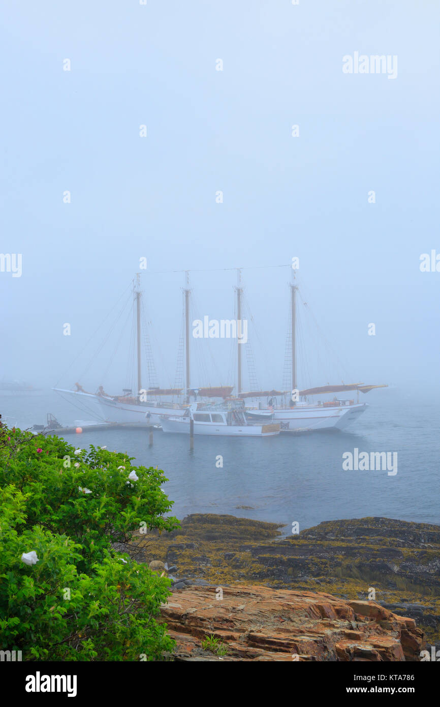 Bar Harbor Shore Path, Bar Harbor, Mount Desert island, Maine, USA