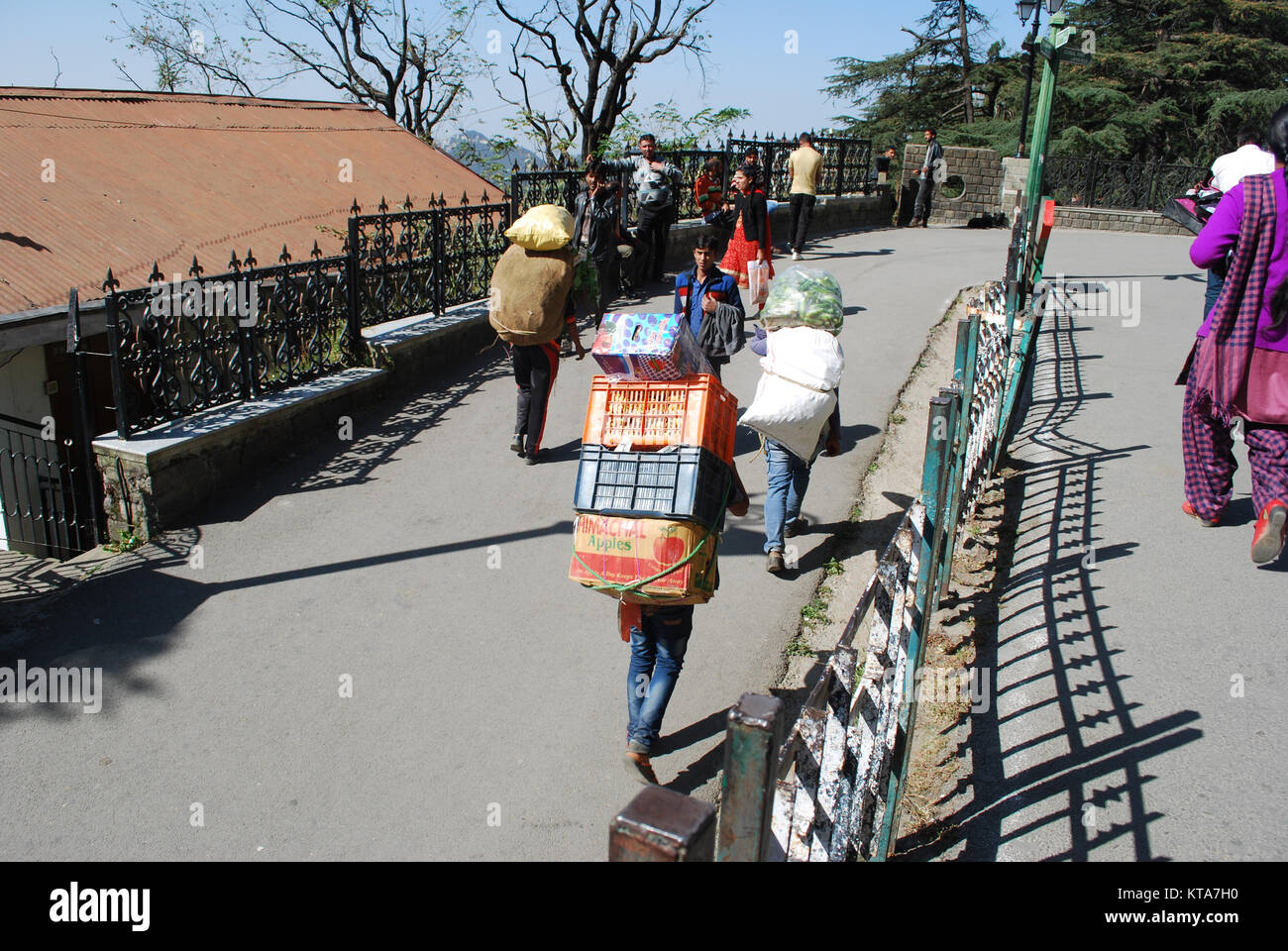 People working in Shimla. Two men carrying heavy loads on their backs through the streets of Shimla. Stock Photo