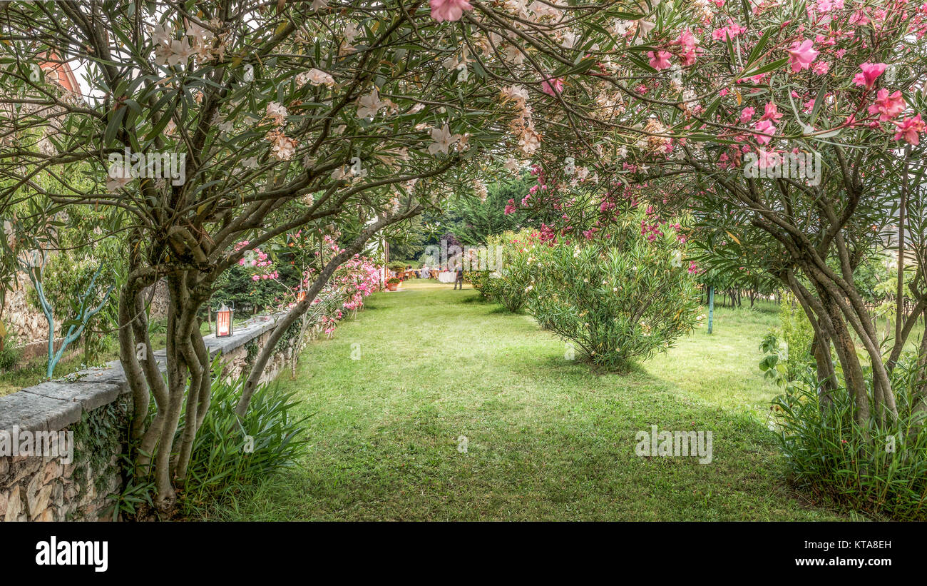 garden in spring trees and flowers Stock Photo Alamy