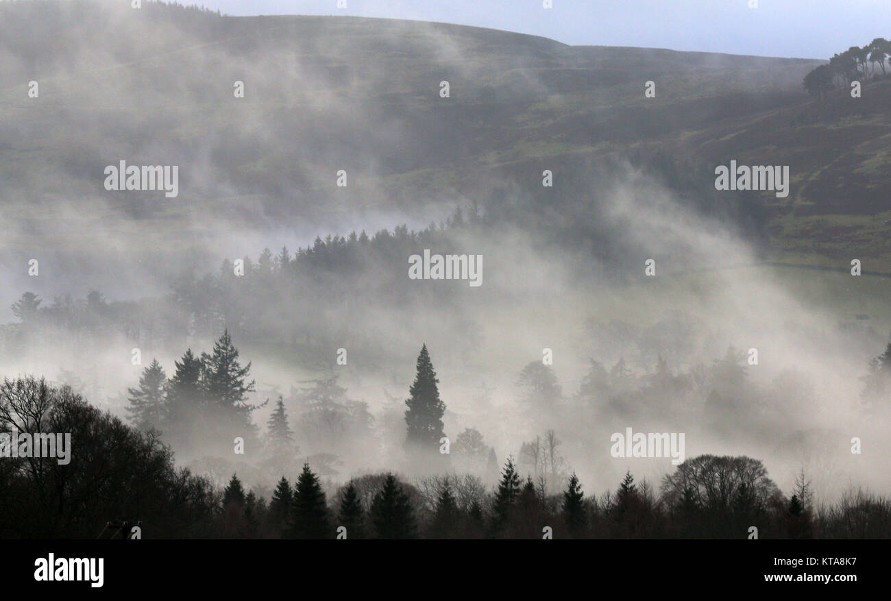 Misty conditions in the Scottish Borders Stock Photo - Alamy