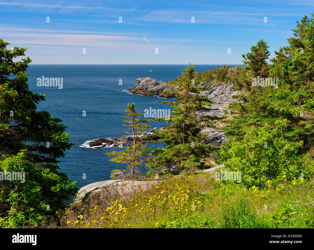 Whitehead, Whitehead Trail, Monhegan Island, Maine, USA Stock Photo Alamy