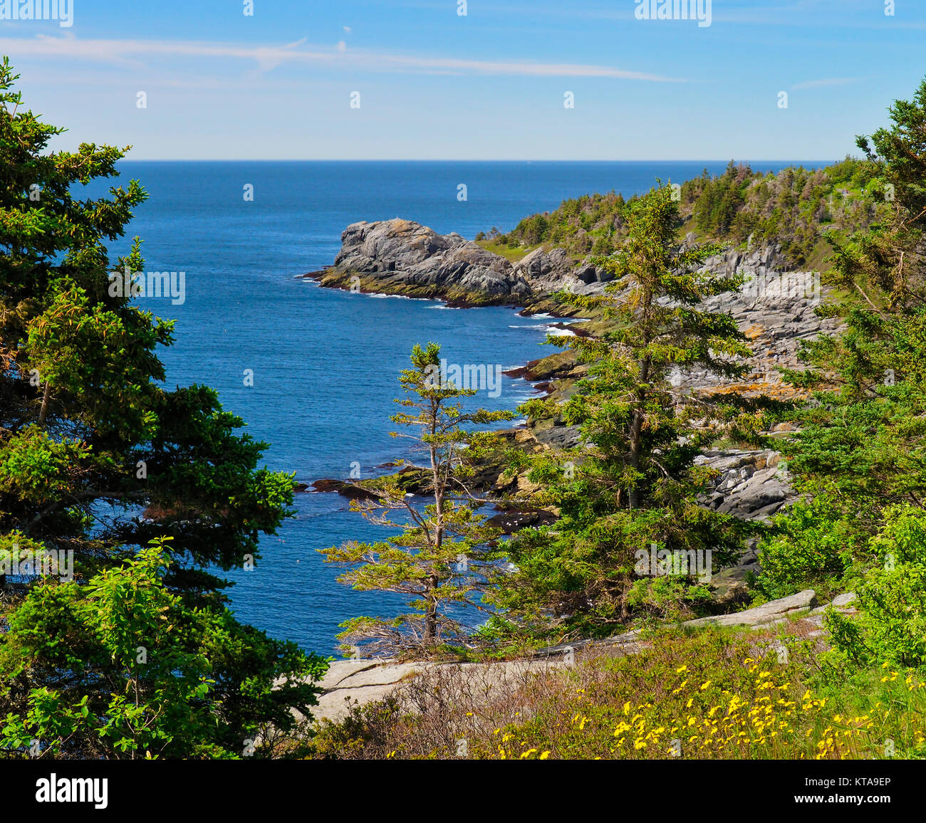 Whitehead, Whitehead Trail, Monhegan Island, Maine, USA Stock Photo Alamy