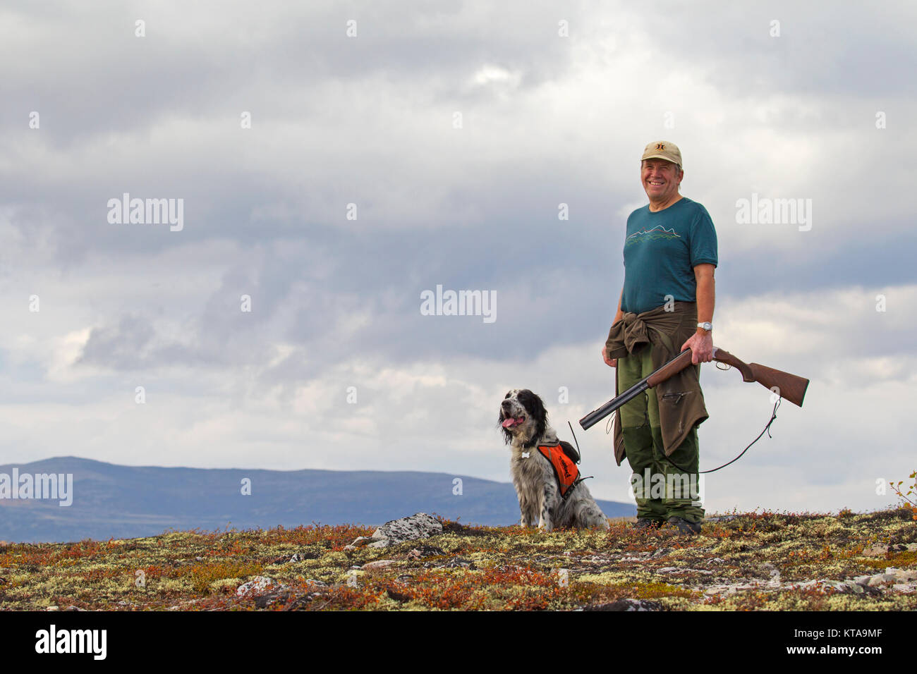 Norwegian hunter with shotgun and English Setter dog hunting grouse on the tundra in autumn, Norway Stock Photo