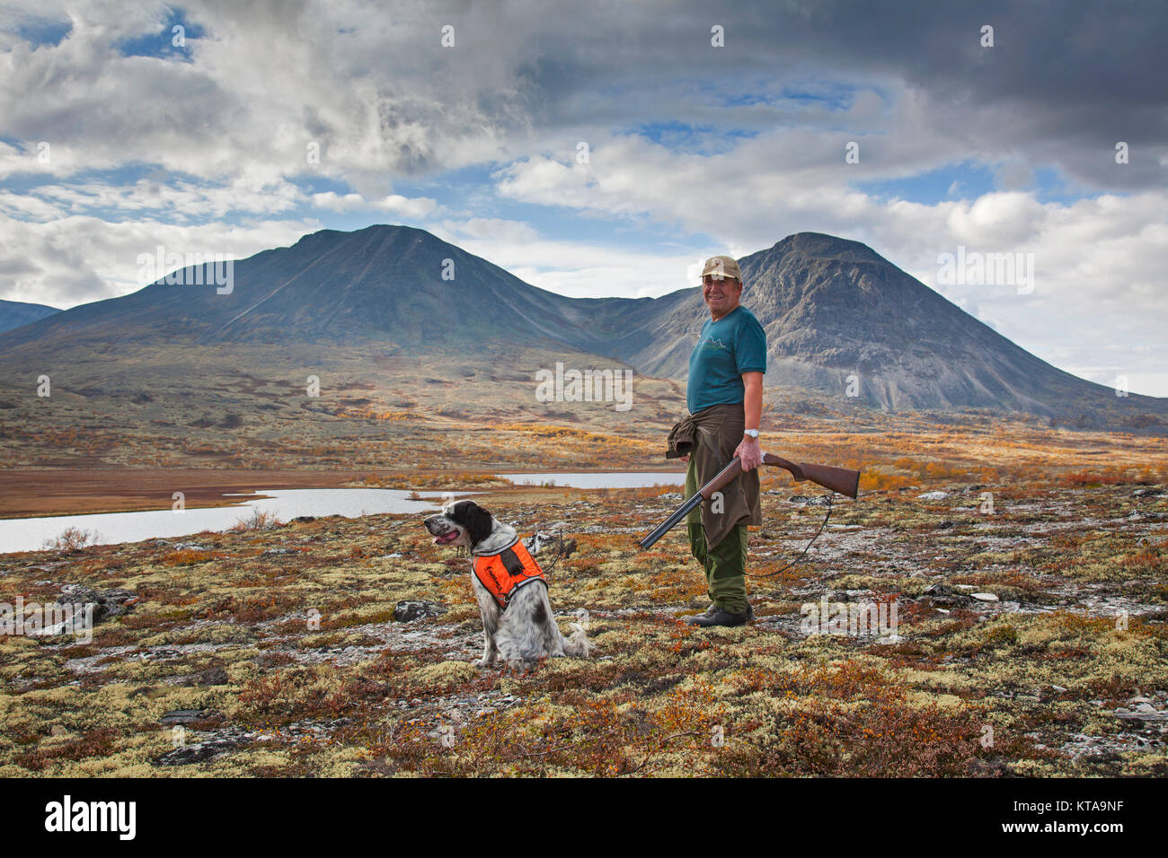 Norwegian hunter with shotgun and English Setter dog hunting grouse on the tundra in autumn, Norway Stock Photo