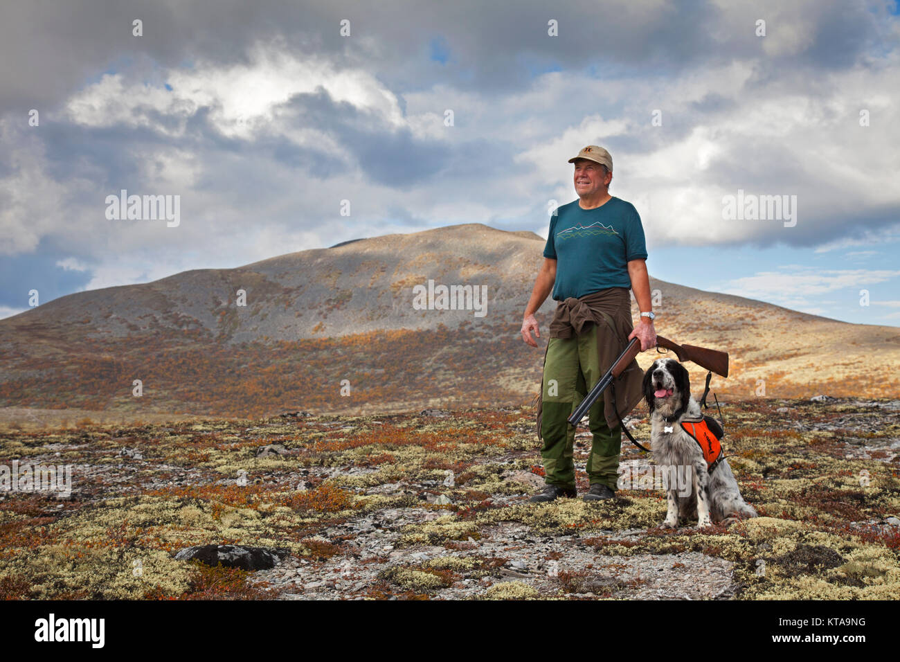 Norwegian hunter with shotgun and English Setter dog hunting grouse on the tundra in autumn, Norway Stock Photo