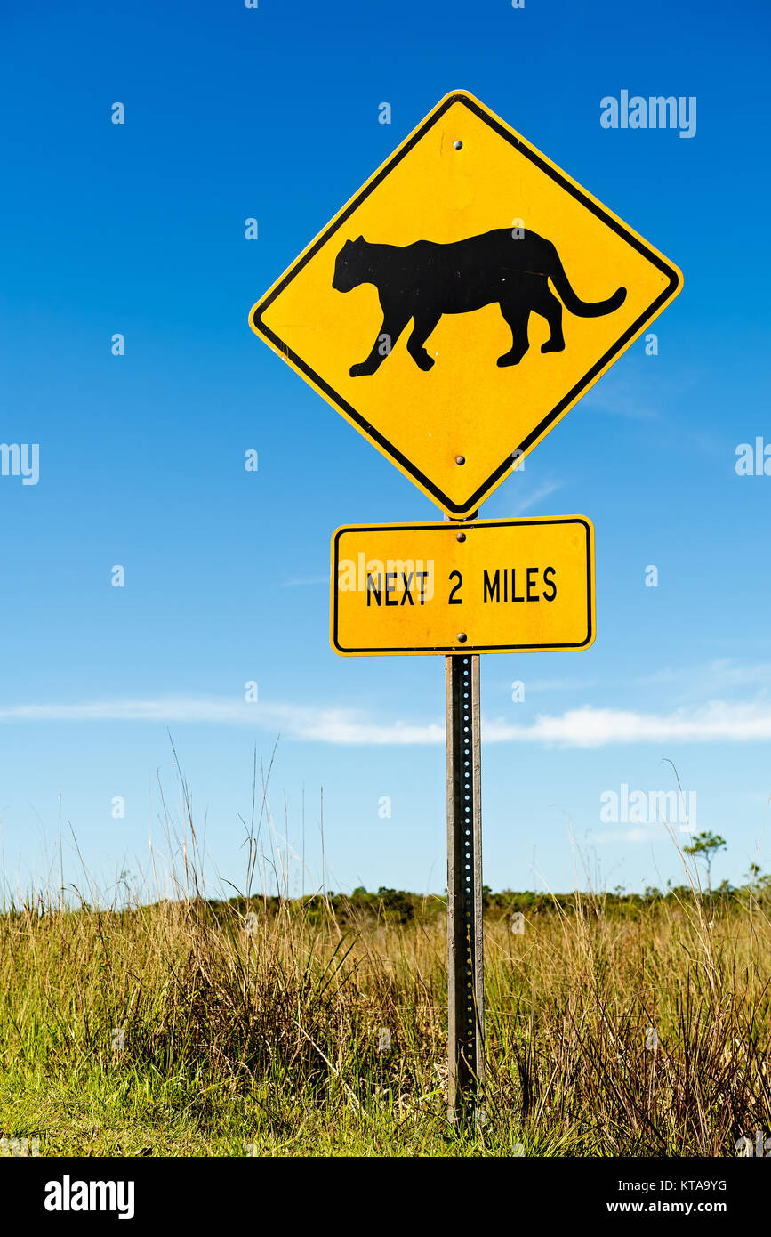 Traffic sign at the road side warns the drivers about cougar crossing ...