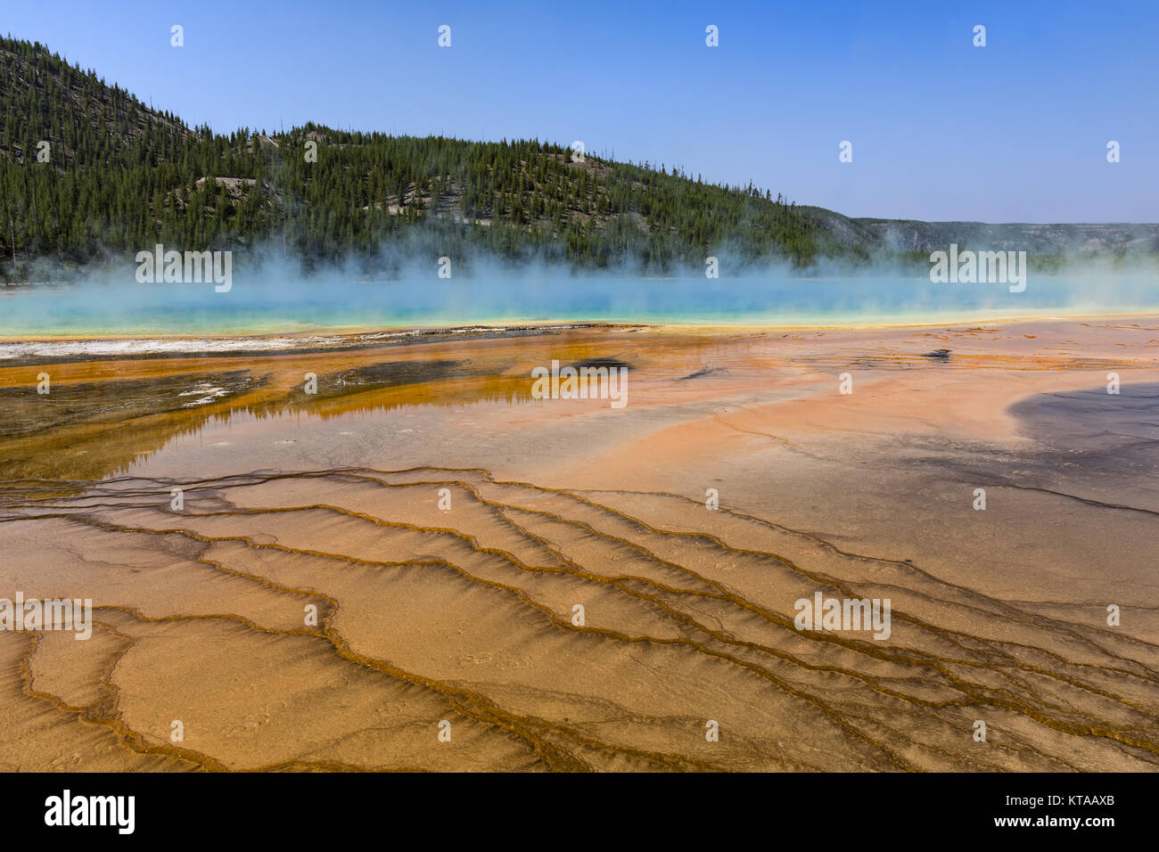 The colrful Grand Prismatic Spring at Yellowstone National Park Wyoming USA against a blue sky Stock Photo