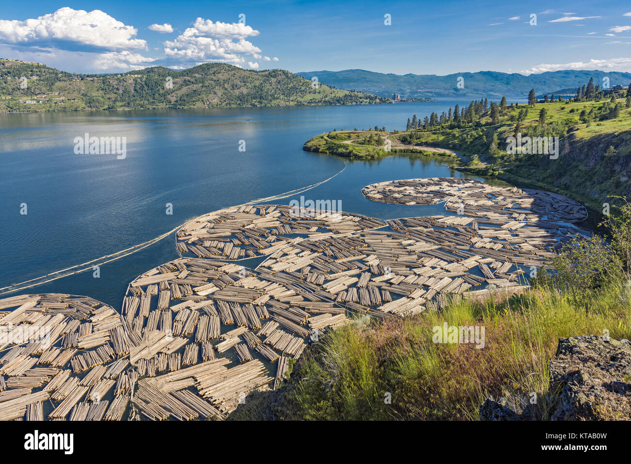 Log Booms on Okanagan Lake with Kelowna British Columbia Canada in the Background on a summer day Stock Photo