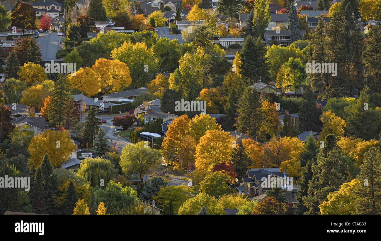 Kelowna residential area with fall vibrant colours Okanagan Valley Kelowna British Columbia Canada Stock Photo