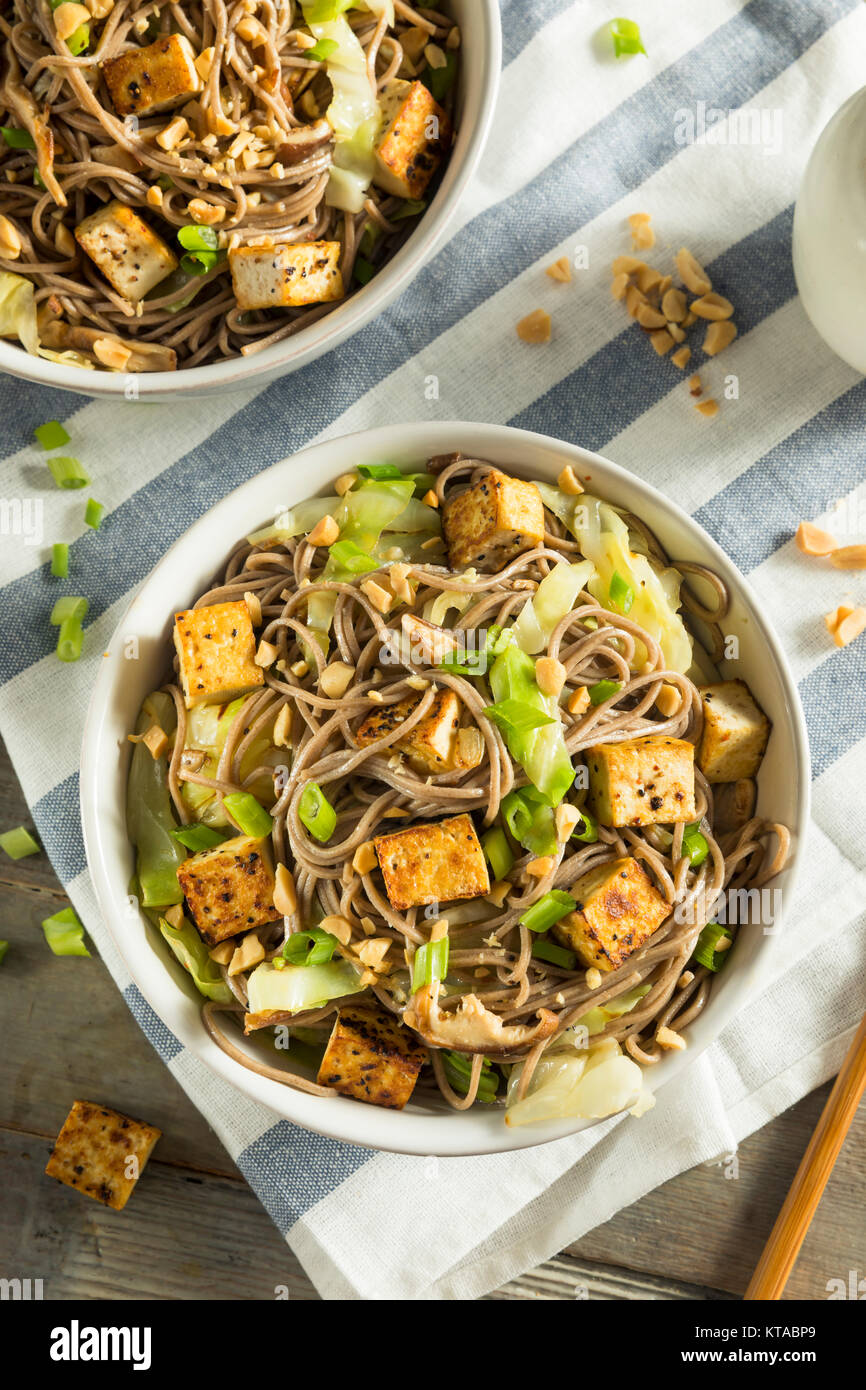 Homemade Asian Tofu Soba Noodle Bowl with Onions and Peanuts Stock