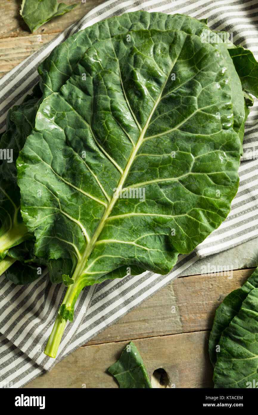 Raw Green Organic Collard Greens Ready to Cook Stock Photo Alamy