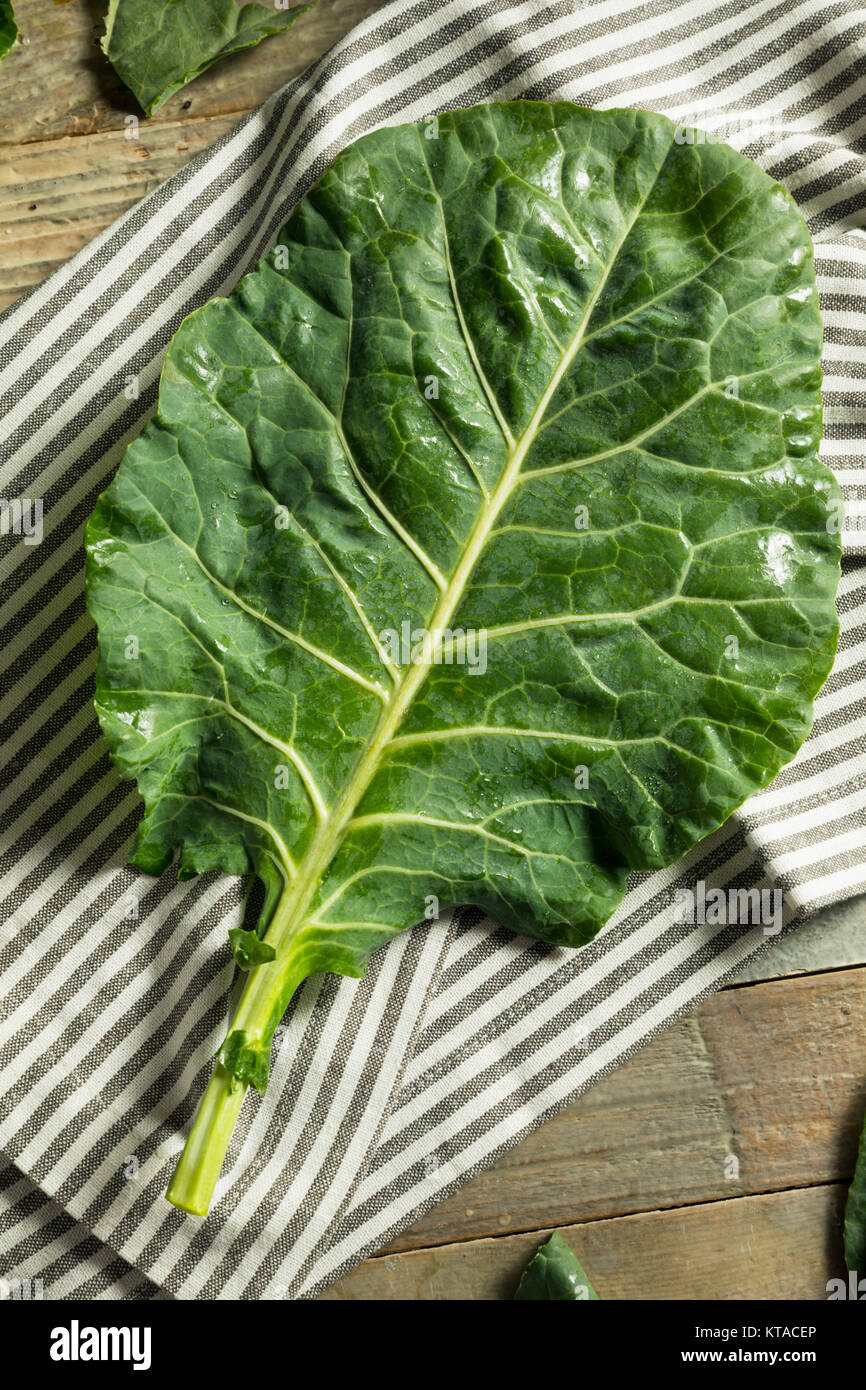 https://c8.alamy.com/comp/KTACEP/raw-green-organic-collard-greens-ready-to-cook-KTACEP.jpg