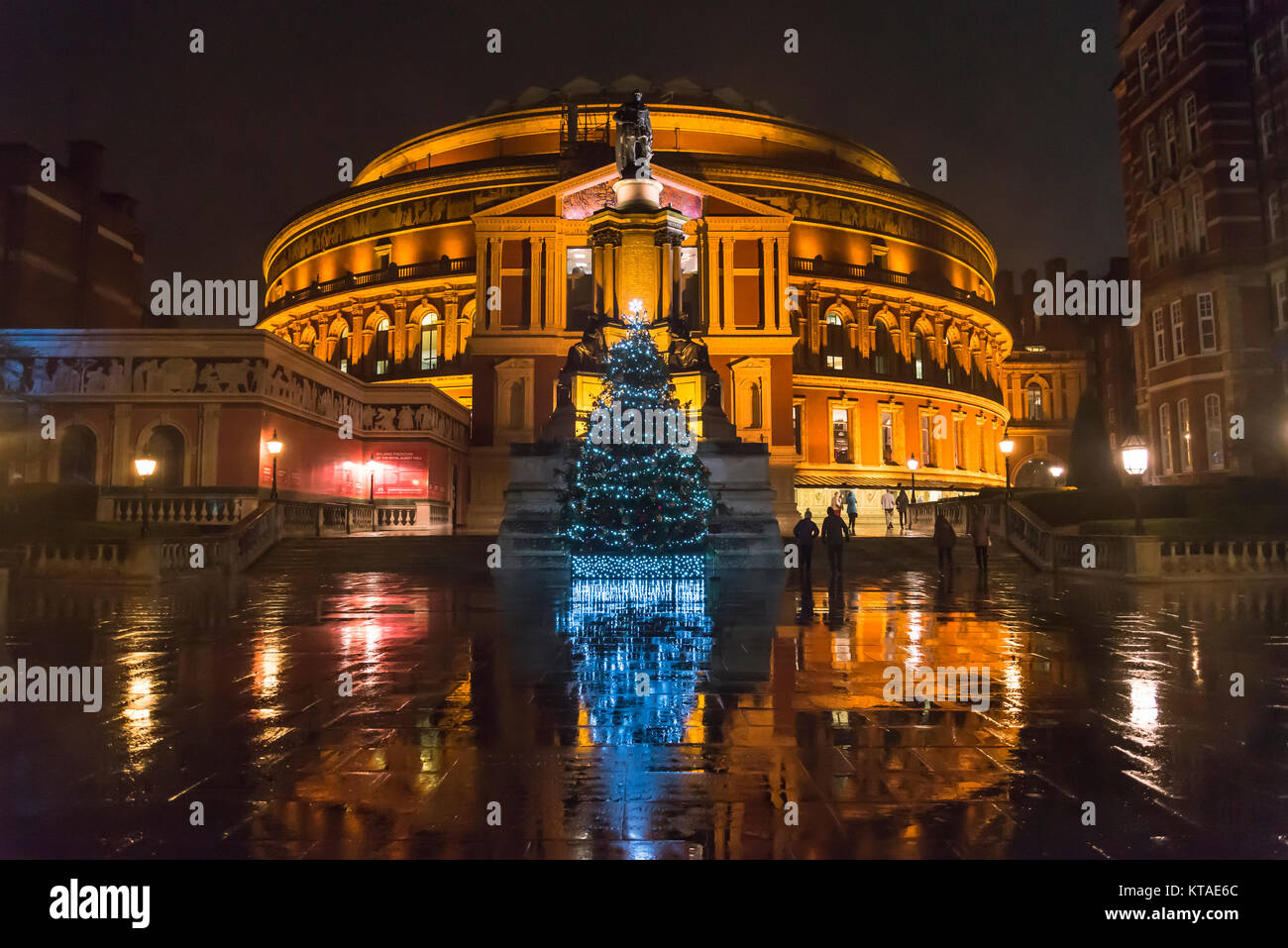 Christmas tree in front of the Royal Albert Hall at night, South Kensington, London, England, UK Stock Photo