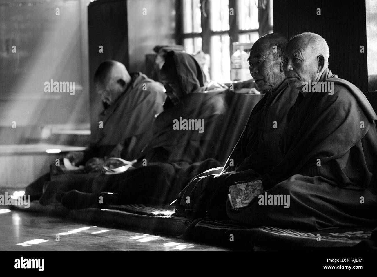 Buddhist monks sitting at the window and praying on festival day, Diskit Monastery, Nubra Valley, Ladakh, Jammu and Kashmir, India. Black and white Stock Photo