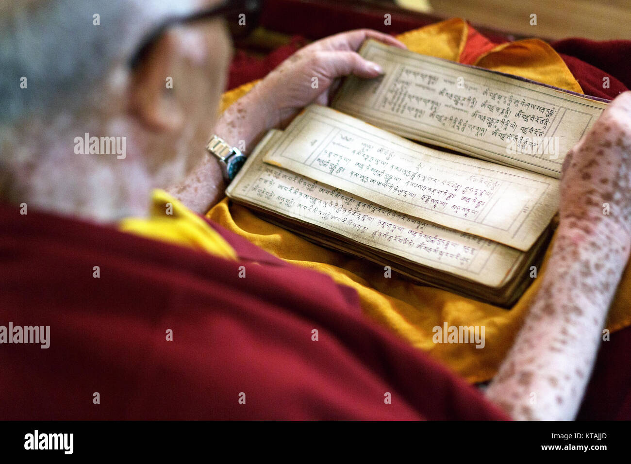 Buddhist monk reading sutras, at the Diskit Monastery, Nubra Valley, Ladakh, Jammu and Kashmir, India. Stock Photo