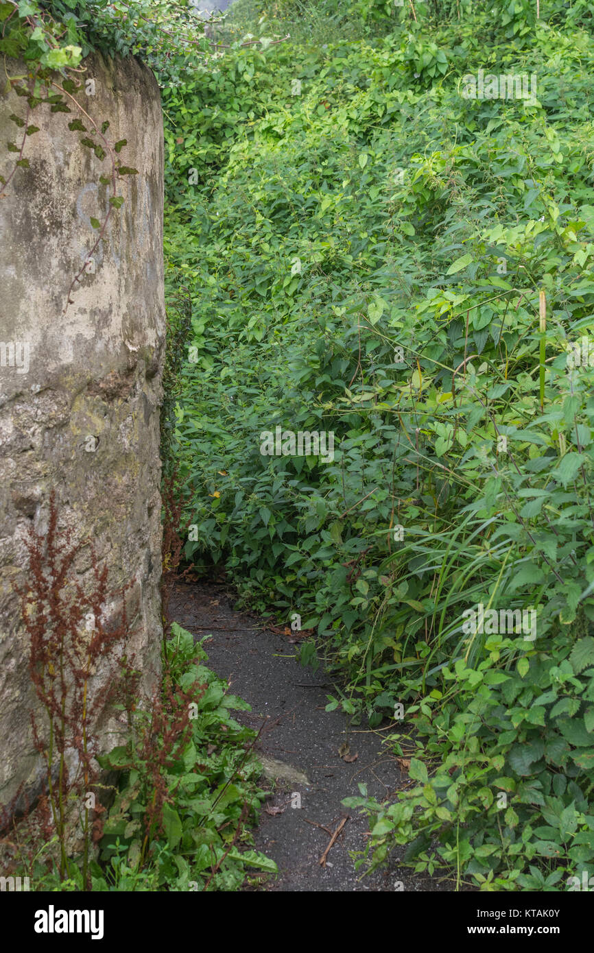 Footpath leading off round the back wall of a building to an unknown place. Stock Photo