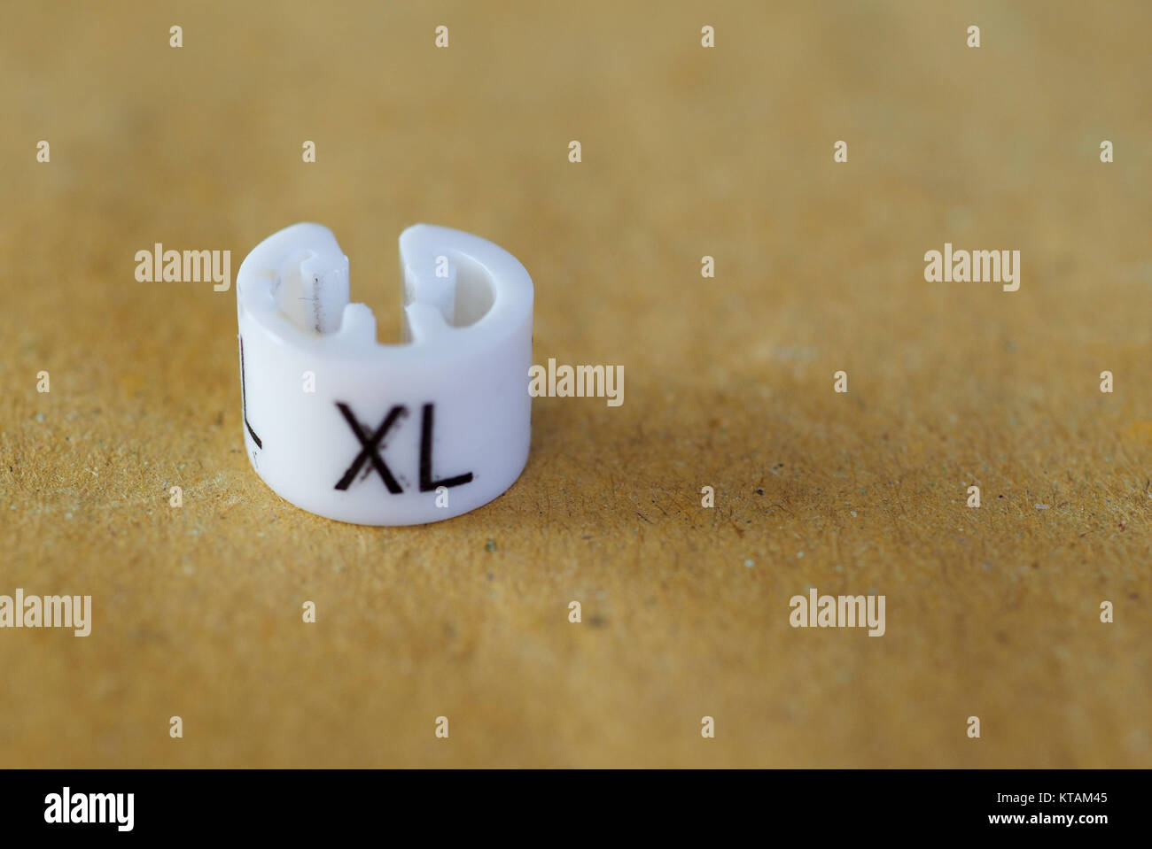 L xl size hi-res stock photography and images - Alamy