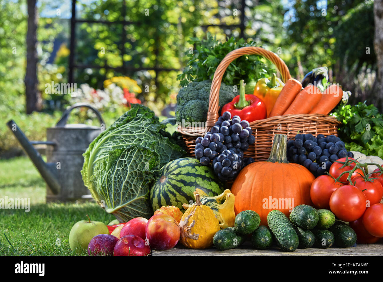 Variety of fresh organic vegetables and fruits in the garden Stock ...