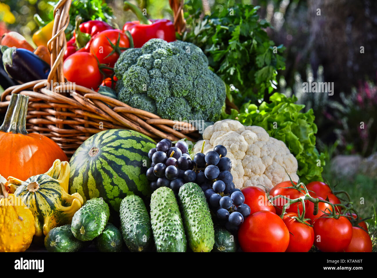 Variety of fresh organic vegetables and fruits in the garden Stock ...