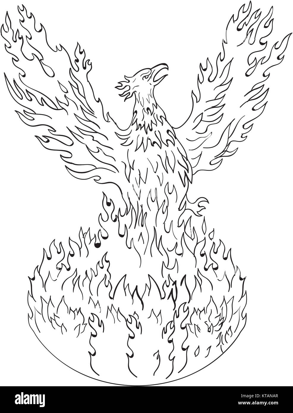 Drawings of The Phoenix Bird