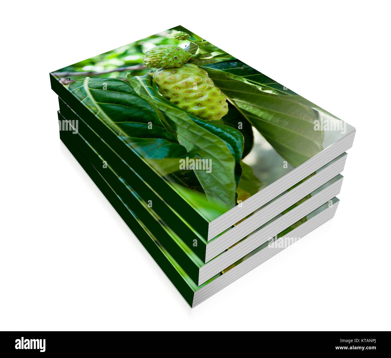 Some Noni Fruit Stock Photo Alamy