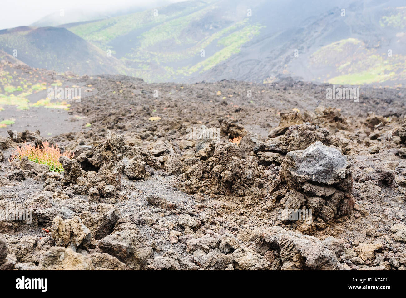 hardened lava close up on lava field on Mount Etna Stock Photo - Alamy