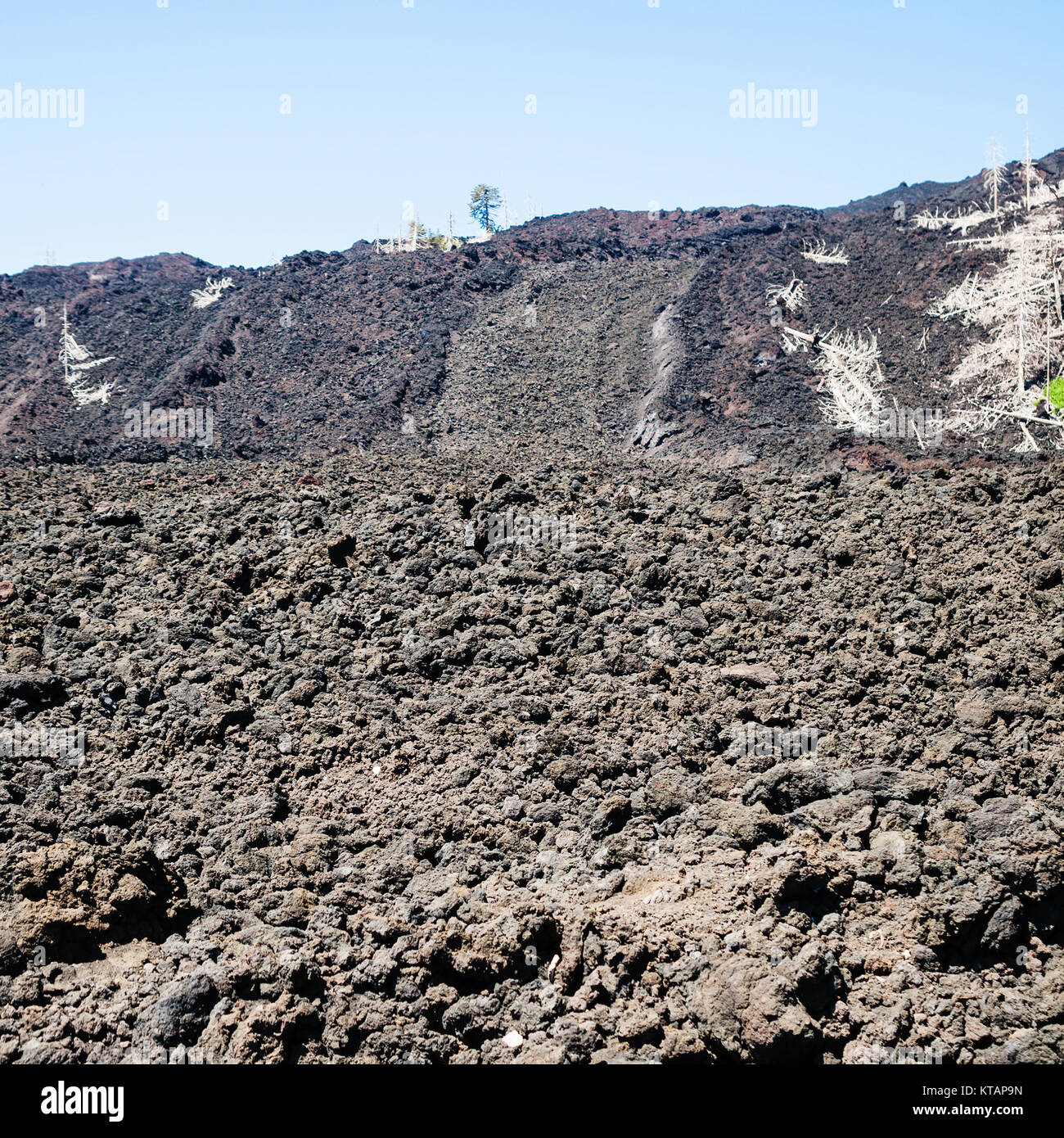 petrified lava flow close up on slope of Etna Stock Photo - Alamy