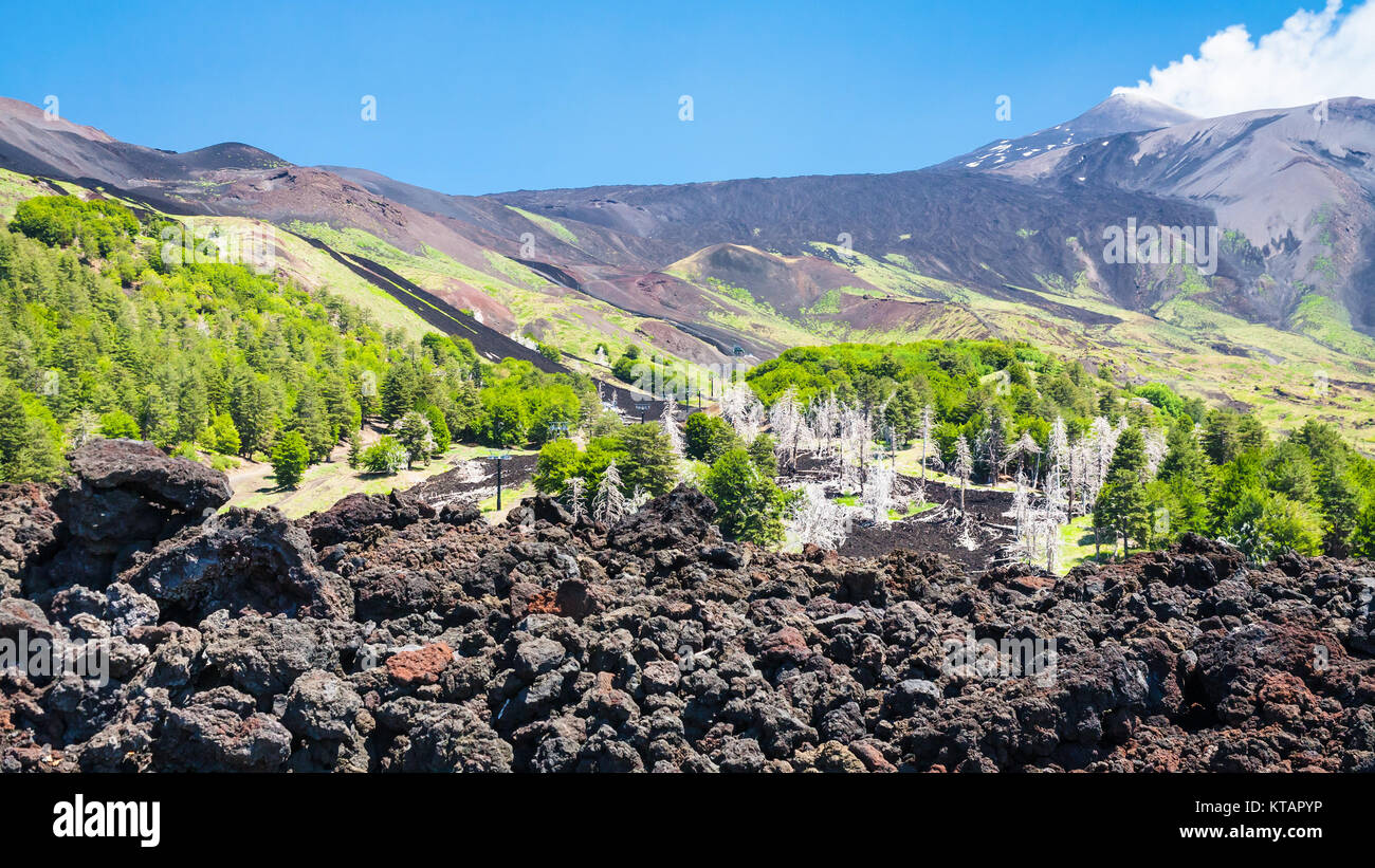 view of hardened lava flow on slope of Etna mount Stock Photo - Alamy