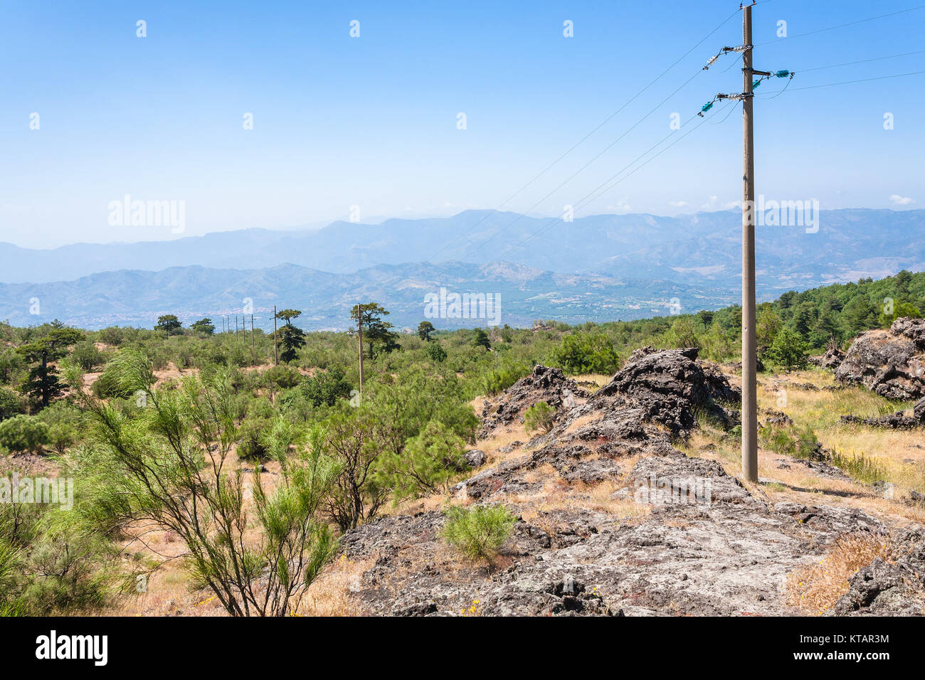 overgrown slope and old hardened lava of Etna Stock Photo - Alamy