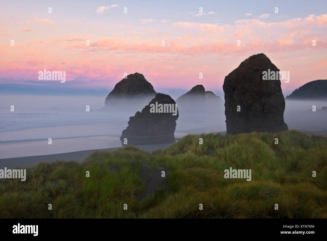 Foggy sunrise reveals the giant sea stacks at Cape Sebastian State Park on Oregon’s south coastline and Curry County. Stock Photo