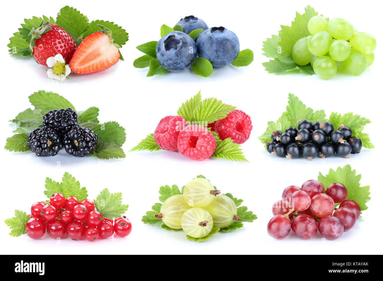 Sammlung Beeren Früchte Trauben Weintrauben Erdbeeren Himbeeren Stock ...