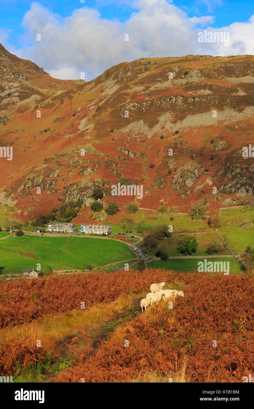 Glenridding and The Rake from above Glenridding Beck, Lake District, Cumbria Stock Photo