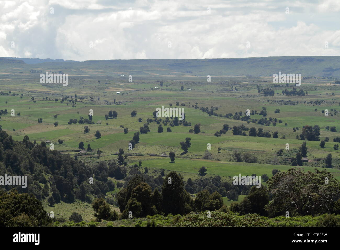 the landscape of the bale mountain national park in ethiopia Stock Photo
