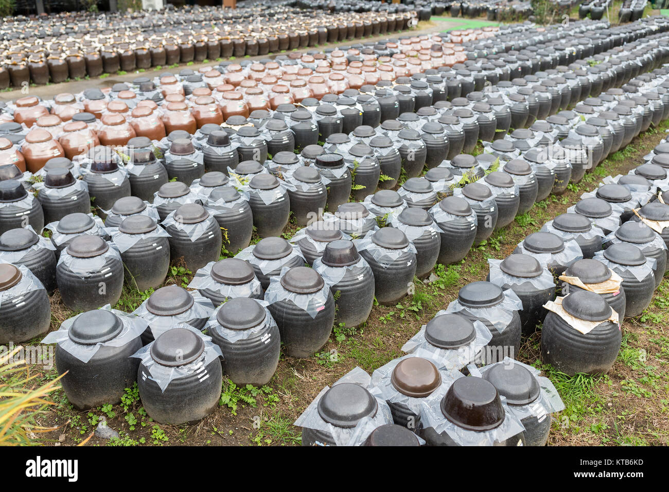 Production of Vinegar in Barrel store at outdoor Stock Photo Alamy